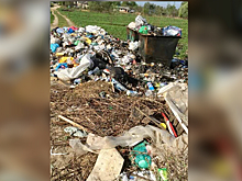 «Ужасный мусорный запах»: в Ярославской области из-за заваленных помоек произошла новая катастрофа