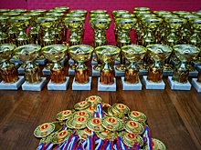 Каратисты из клуба «Пума-Алтуфьево» стали призерами городского турнира