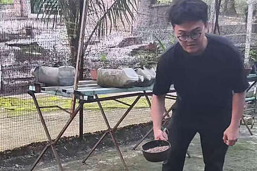 Daily Mail: дом престарелых для выгоревшей молодежи появился в Малайзии