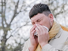 Главный инфекционист Чуланов объяснил, почему опасно переносить грипп на ногах