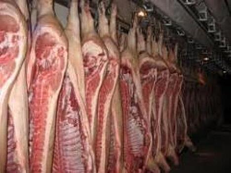 В Приморье пресекли продажу опасного для здоровья мяса
