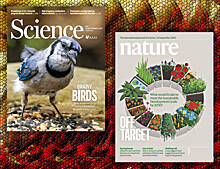 Что нового в Nature, Science и The Lancet. 20 сентября