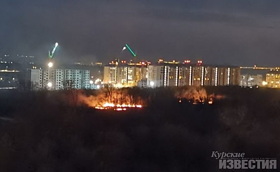 В Курске горел лес на улице Косухина
