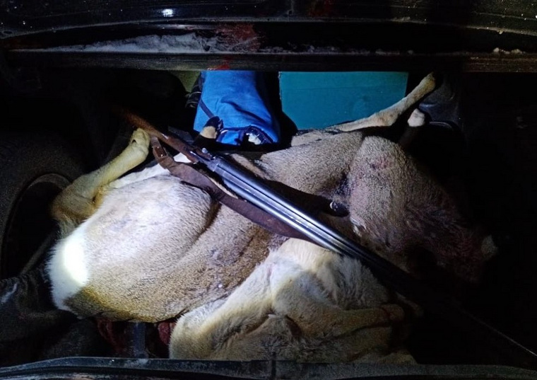 Полицейские поймали курганца, убившего диких косуль