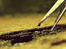 Трансгендер* ножницами порезал украинcкого уклониста в Таиланде