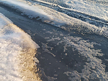 Фекальные реки хлынули на нудистский пляж в Новосибирске