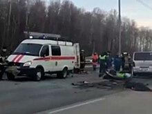 Полиция возбудила уголовное дело после гибели шести человек в аварии на трассе М4 «Дон»