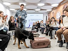 В Нижегородской области прошел фестиваль профессий «Код безопасности: старт карьеры»