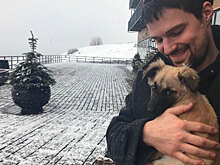 Груша – космос: Козловский призвал спасать животных от нелюбви и никомуненужности