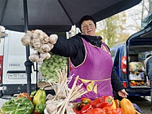 На сельхозярмарке продукцию представили более 300 курских производителей