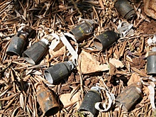 Мэр Донецка сообщил о массовом применении ВСУ запрещенных мин-ловушек