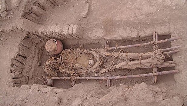 Генетики расшифровали ДНК древнейшей мумии