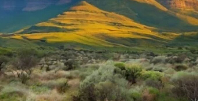 ЮАР занимается разблокировкой 4 млн га своих сельхозугодий