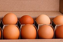 Депутаты Курултая Башкирии проверят обоснованность роста цен на яйца