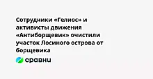 Сотрудники «Гелиос» и активисты движения «Антиборщевик» очистили участок Лосиного острова от борщевика