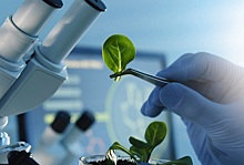 Биологизация в сфере защиты растений: зарождение нового сегмента