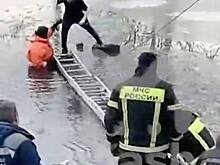 Мальчика спасли с пенька посреди реки в Москве