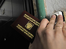 Подмосковные приставы рассказали о сроках добровольного погашения штрафов ГИБДД