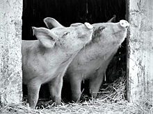 Опубликован список лучших фильмов года