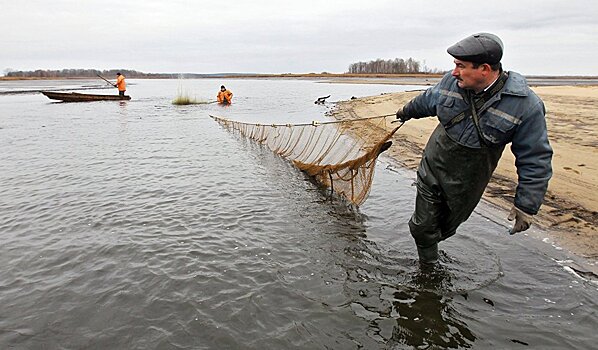 Причиной гибели шести тонн карася на озере в СКО стал недостаток кислорода
