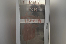 В Челябинске 13-летняя школьница расчленила котёнка и оставила на двери кровавое послание