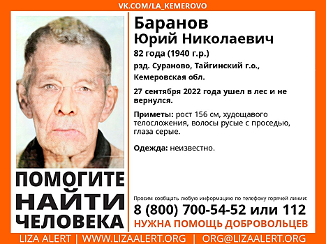 Ушедший в лес пенсионер пропал без вести в Кузбассе