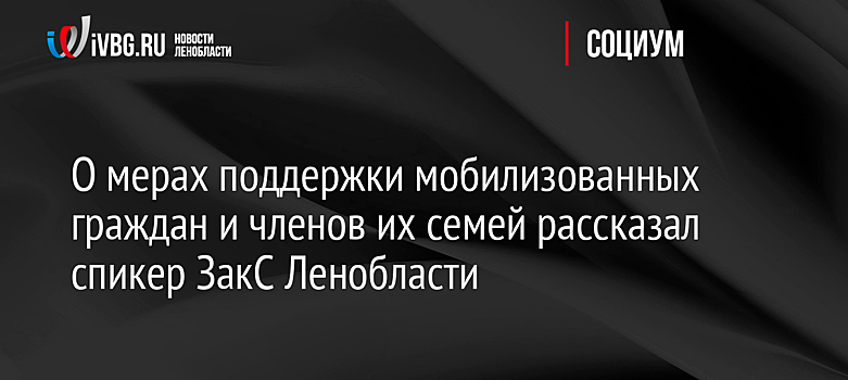 О мерах поддержки мобилизованных граждан и членов их семей рассказал спикер ЗакС Ленобласти