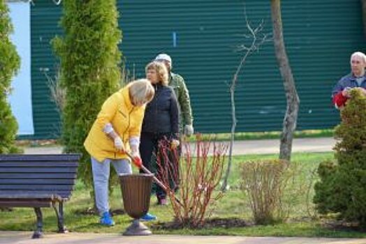 Власти Воронежа определились с датами проведения субботников