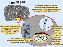 «12 месяцев». Болезнь Вильсона-Коновалова. Часть первая