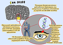 «12 месяцев». Болезнь Вильсона-Коновалова. Часть первая