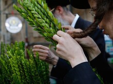 У иудеев начался Суккот: смысл и традиции еврейского праздника