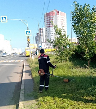 В Оренбурге продолжают бороться с сорной травой