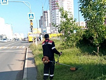 В Оренбурге продолжают бороться с сорной травой