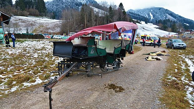 В Германии при столкновении конных повозок пострадали 20 человек