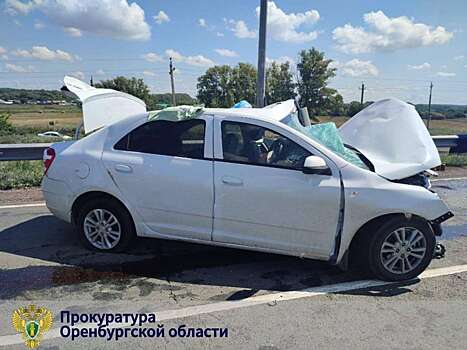 Оренбуржец приговорен к 4 годам лишения свободы за смертельную аварию