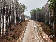 В Татарстане снизилось количество природных пожаров