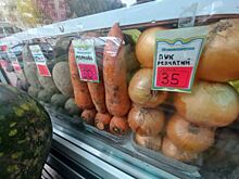 Октябрьская картошка в Ярославской области на 7,5% дешевле цены в ЦФО