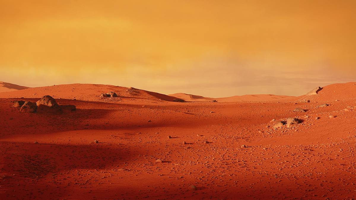 Глава Роскосмоса доверился Маску в вопросе марсианских цивилизаций