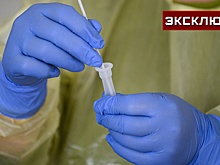 Туристов с симптомами гриппа призвали сдавать анализы на случай ЛЗН