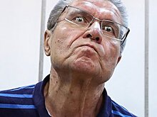 Водитель Улюкаева  рассказал о портфеле с деньгами