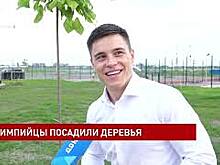 Олимпийская роща заложена в Ростовском парке Левоборежный