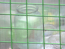 Калининградцы сдали более 15 тонн стекла на вторичную переработку