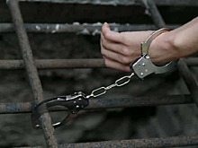 ЕСПЧ присудил жителю Новосибирска 26 тысяч евро за пытки в полиции