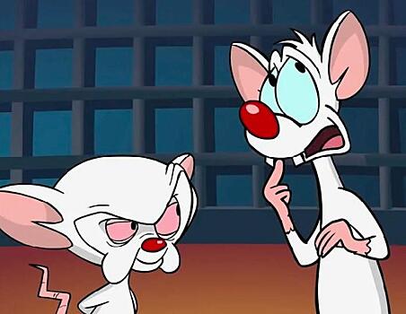 Мыши возвращаются: студия Warner Bros. перезапустит мультсериал «Пинки и Брейн»