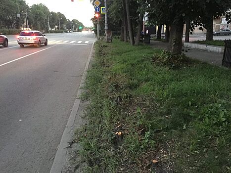 На Ленина возле «Коляда-театра» вырубили старые кусты, чтобы сделать газон как в Европе
