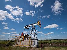 В санкциях ЕС против российской нефти увидели риски