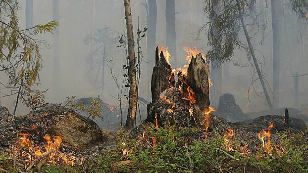 Разработчик «Тополь-М» запатентовал способ борьбы с лесными пожарами