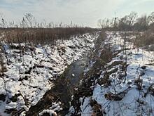 В Курске на улице Утренней расчистят водоотводной канал