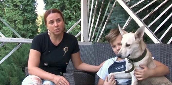 Школьник из Ростова‐на‐Дону организовал бизнес ради спасения собаки
