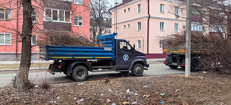 В Сеймском округе Курска убирали 65 кубометров сухой древесины